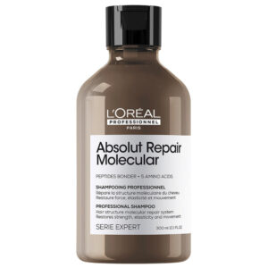 Absolut Repair Molecular Repair Shampoo 300ml Absolut Repair Molecular Repair Shampoo 300ml